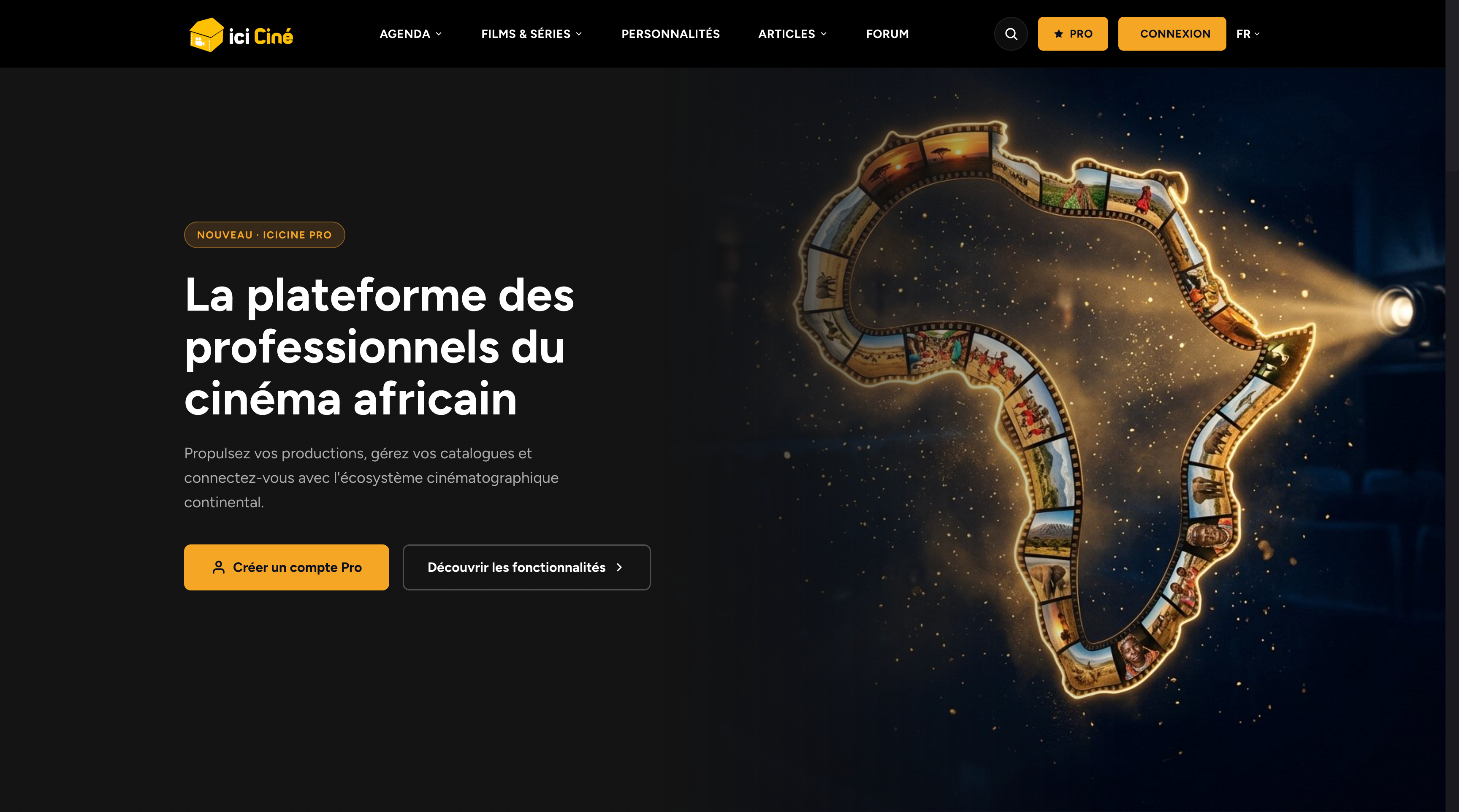 FireShot Capture 049 - IciCine Pro — La plateforme des professionnels du cinéma africain_ - [icicine.com]